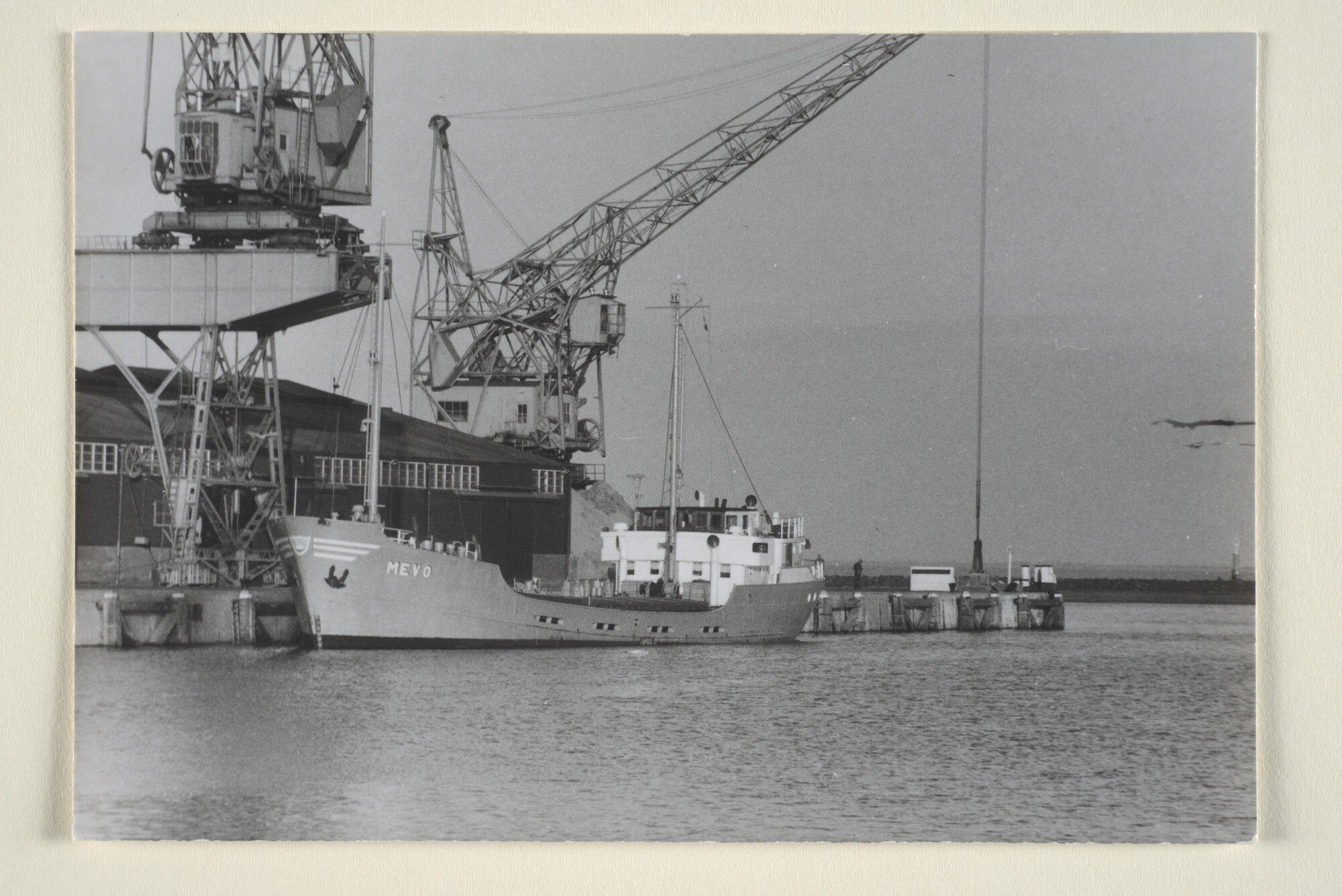 1996.2320; De onder Panamese vlag varende coaster ms. Mevo (ex- Berkelborg, Ali Teekman & Luther R. Duizendstra gezien in de haven van Rotterdam; foto