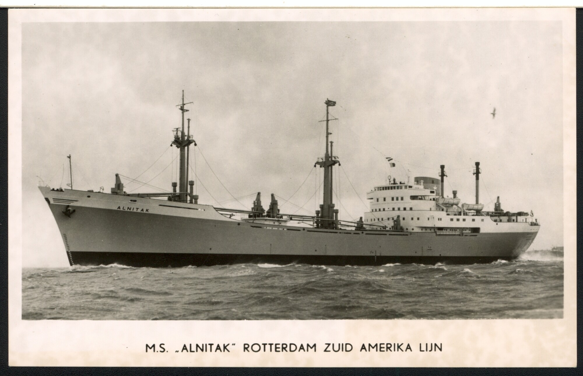 S.6408(0340); Het vrachtschip ms. 'Alnitak' van Van Nievelt Goudriaan & Co; prentbriefkaart