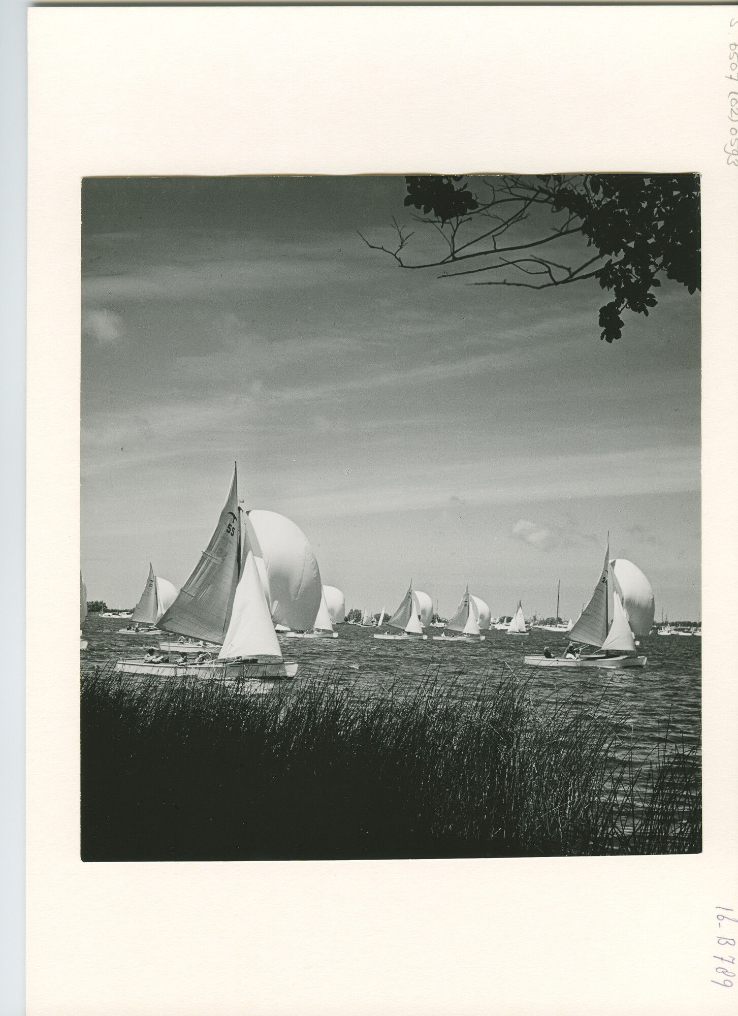 S.6507(02)0593.04; Zwart-wit foto van de Kaagweek 1952: de Valkenklasse voor de wind; foto