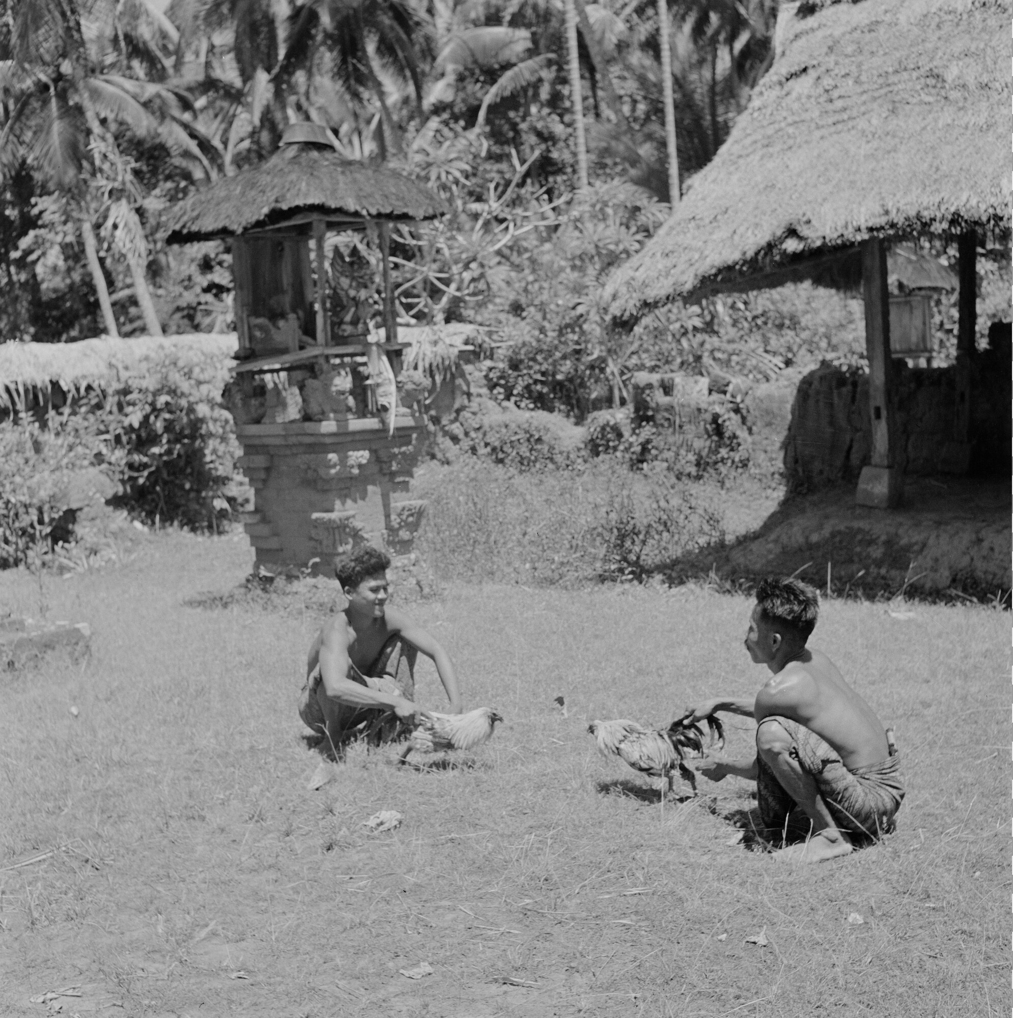 2015.2839; Negatief van twee Balinese mannen met gevechtshanen; negatief