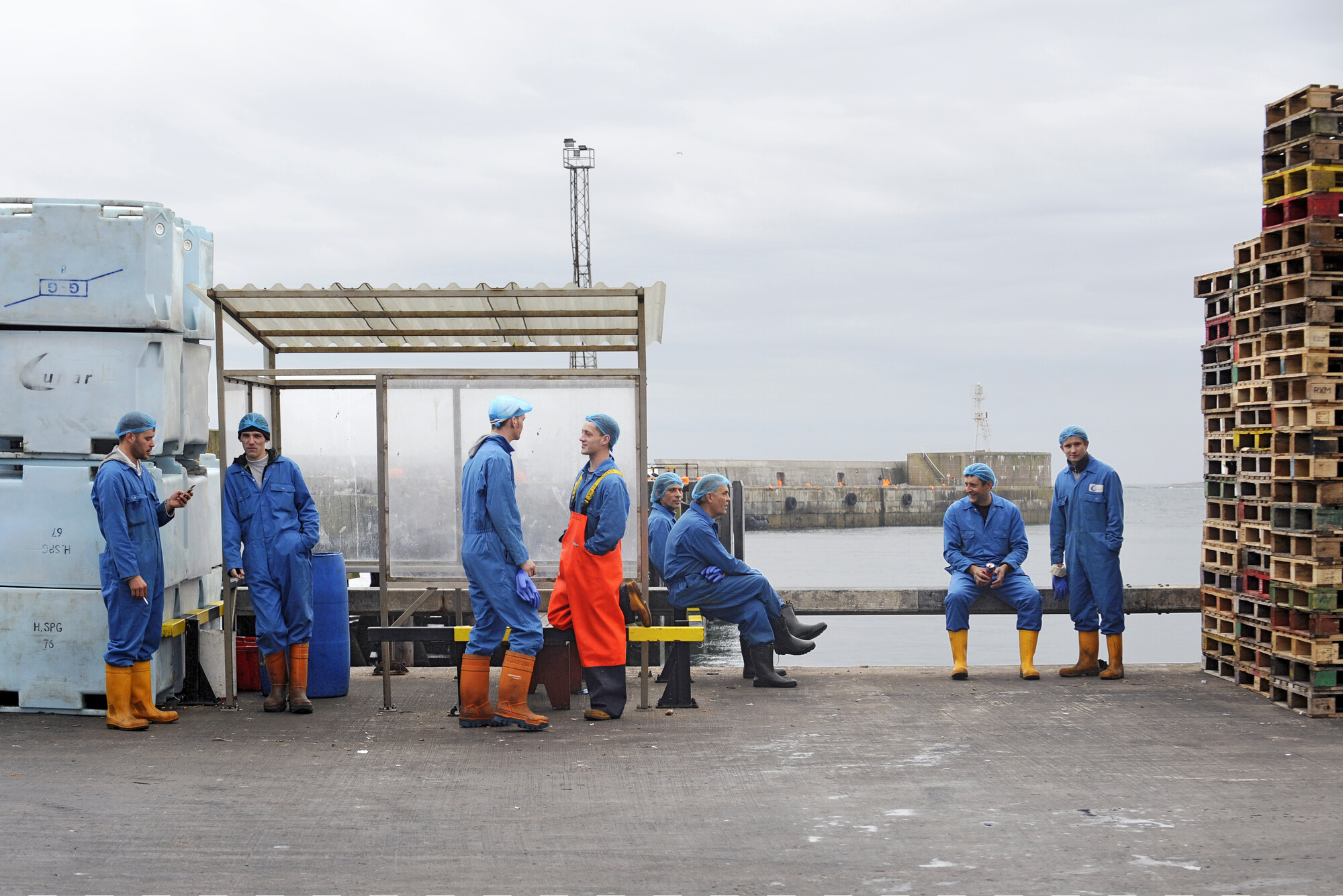 2019.0239; Kleurenfoto van een kade met arbeiders in de visindustrie in de haven van Peterhead in Schotland, 2008; foto