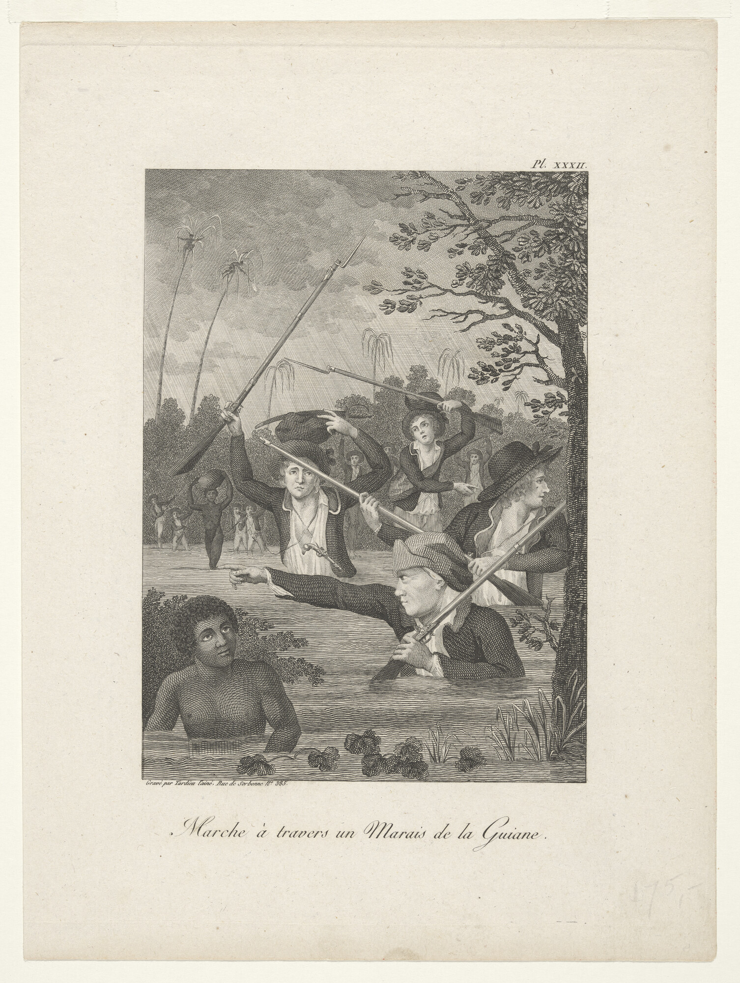 2001.1190; Marche à travers un Marais de la Guiane; prent