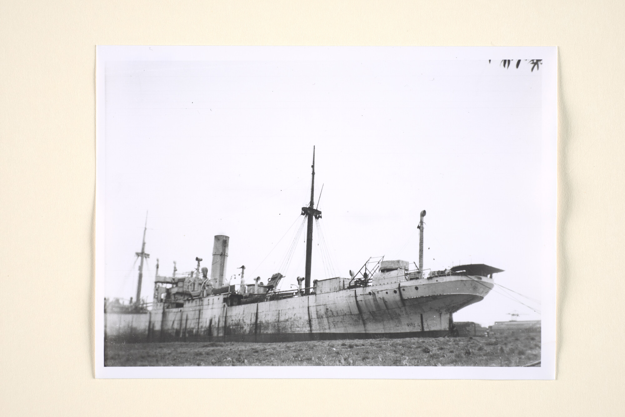 1995.5835; Het vrachtschip ss. 'Hoogkerk'; negatief