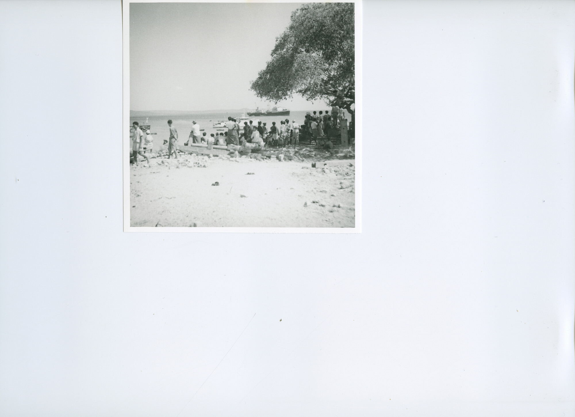 B.0227(1624)02; Strandgezicht; foto