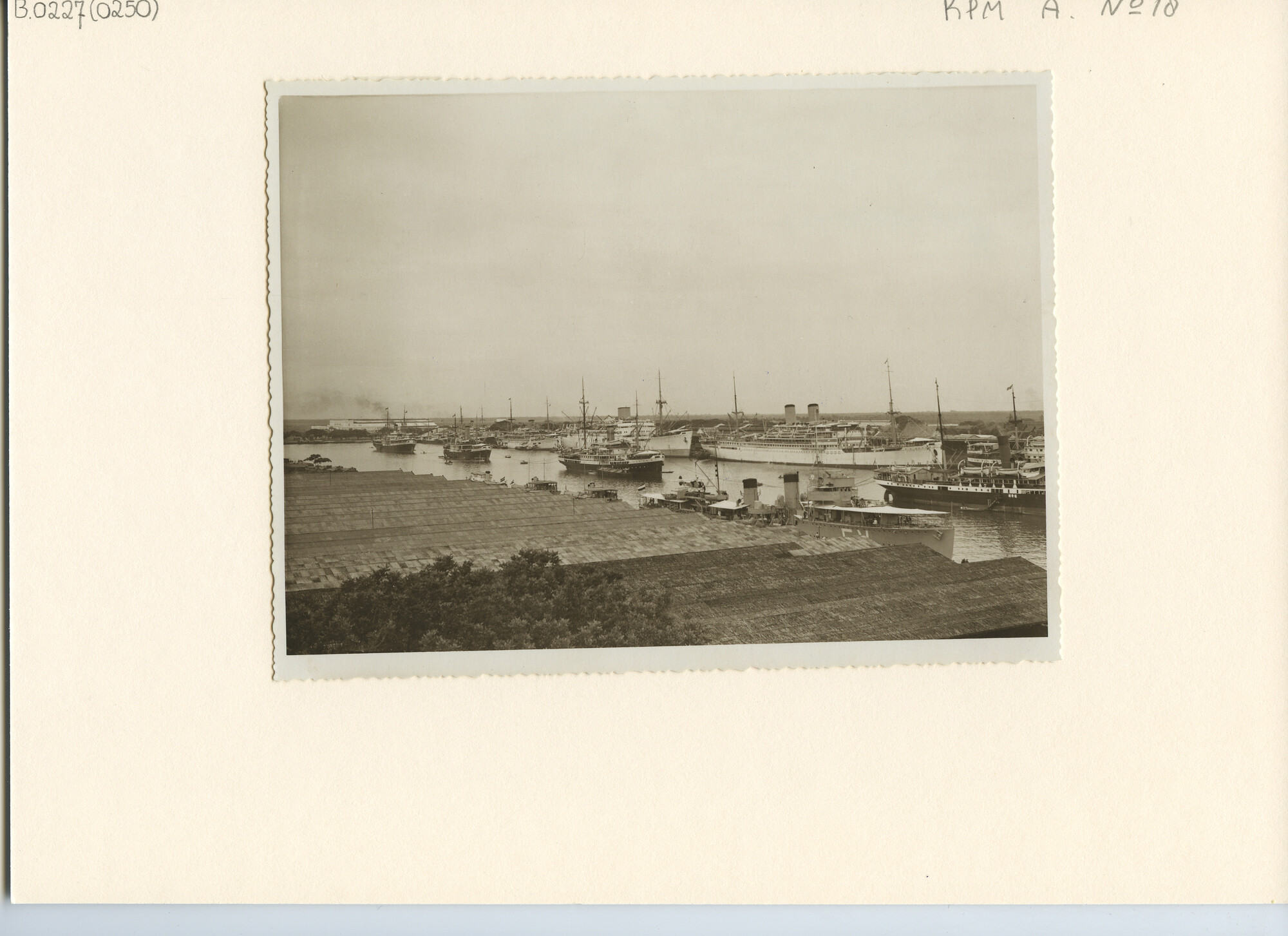 B.0227(0250); De haven van Tandjong Priok met aan de kade onder andere vlnr de passagiersschepen ms. 'Ophir', ms. 'Boissevain' en ms. 'Nieuw Zeeland' van de KPM; foto