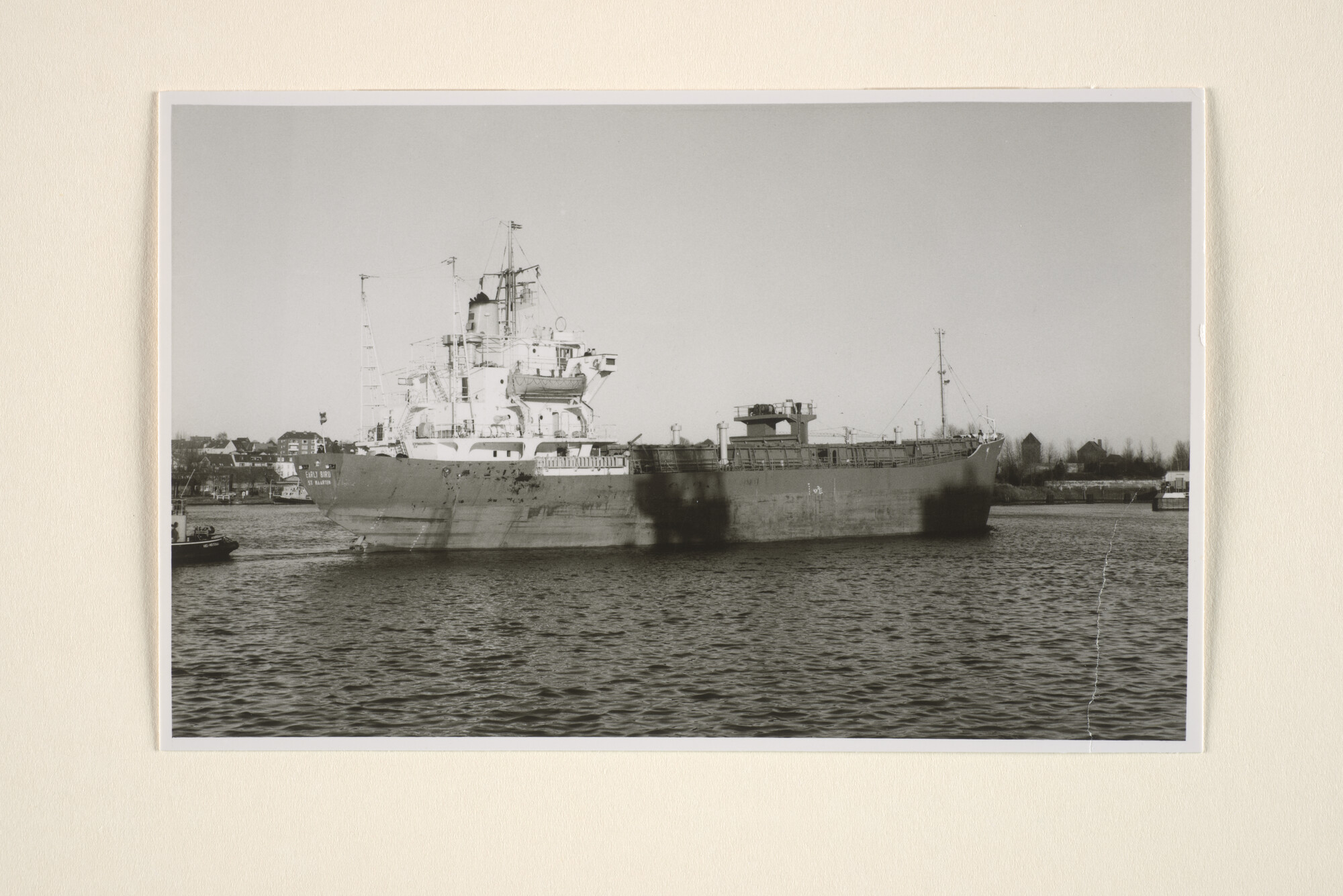 1996.3139; Het vrachtschip ss. Early Bird (ex- Sete) van Blue Shipping & Trading Co; foto