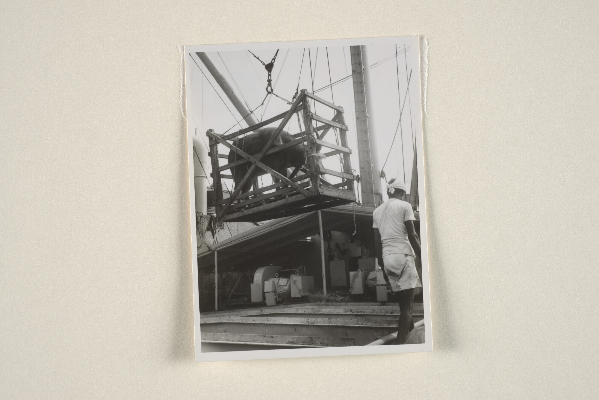 1994.1723; Het ms. Siaoe van de KPM voor anker liggend [...]; fotoreportage