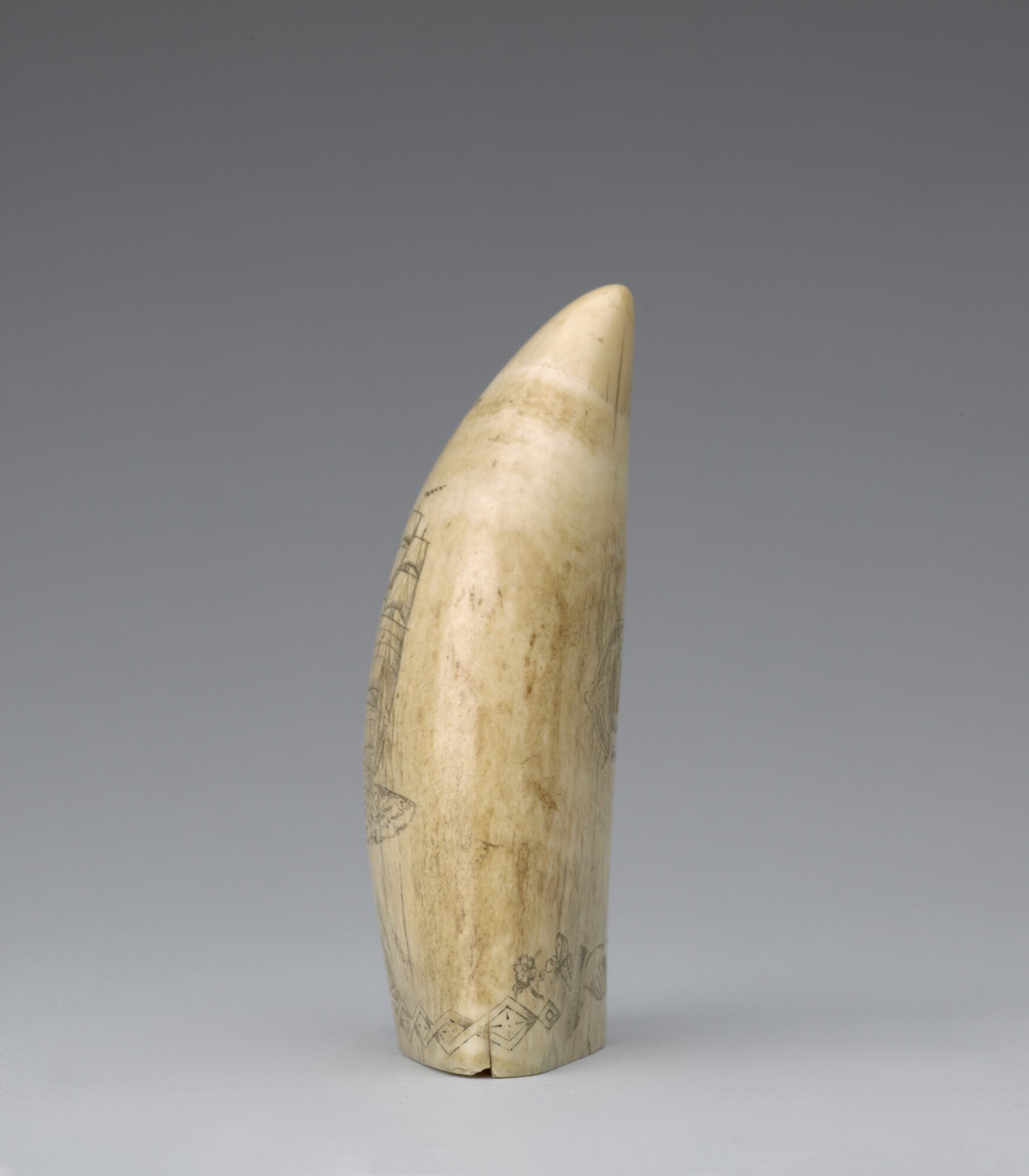 2012.1398; Potvistand met afbeelding (scrimshaw); potvistand
