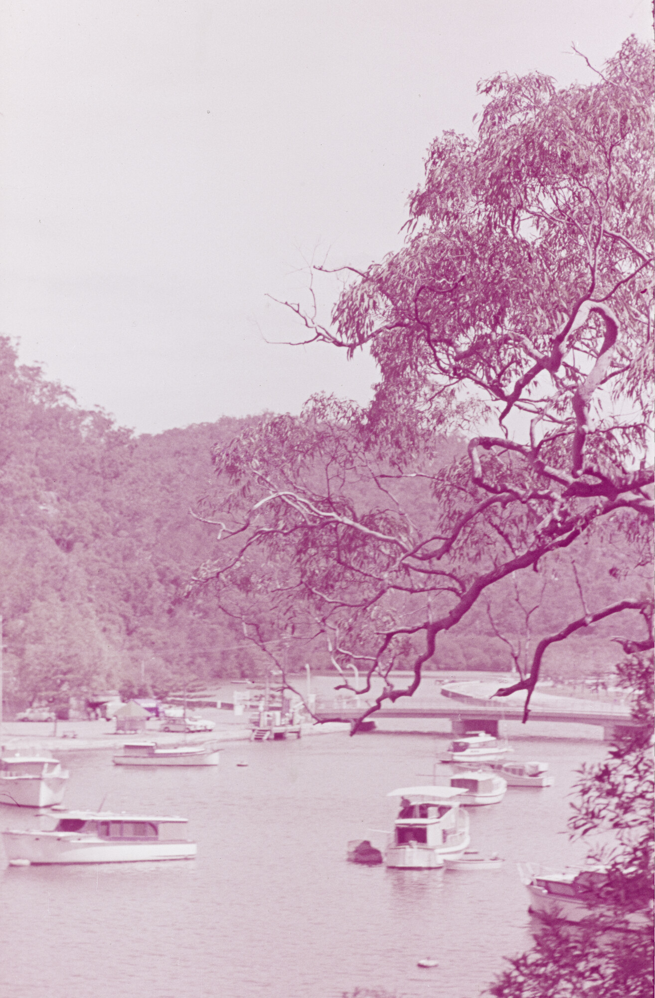 2015.1038; Dia van de jachthaven bij de Blue Mountains bij Sydney; diapositief