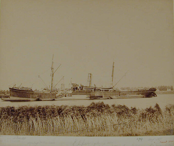 S.1156(06)350; Het vrachtschip ss. 'Elfie' [Gebouwd in 1880 op de werf van W. Gray & Co; foto