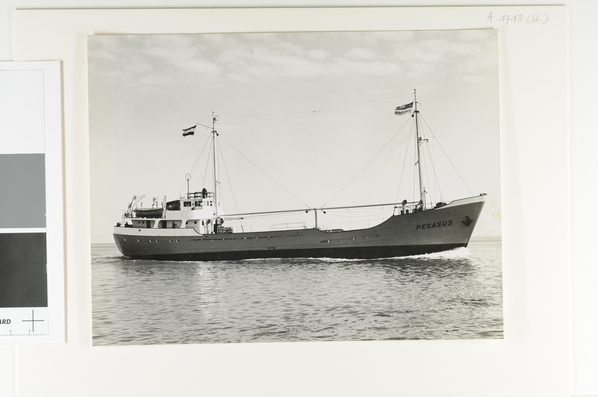 A.4743(66); De coaster ms. 'Pegasus' van H.J. Timmer uit Groningen; foto