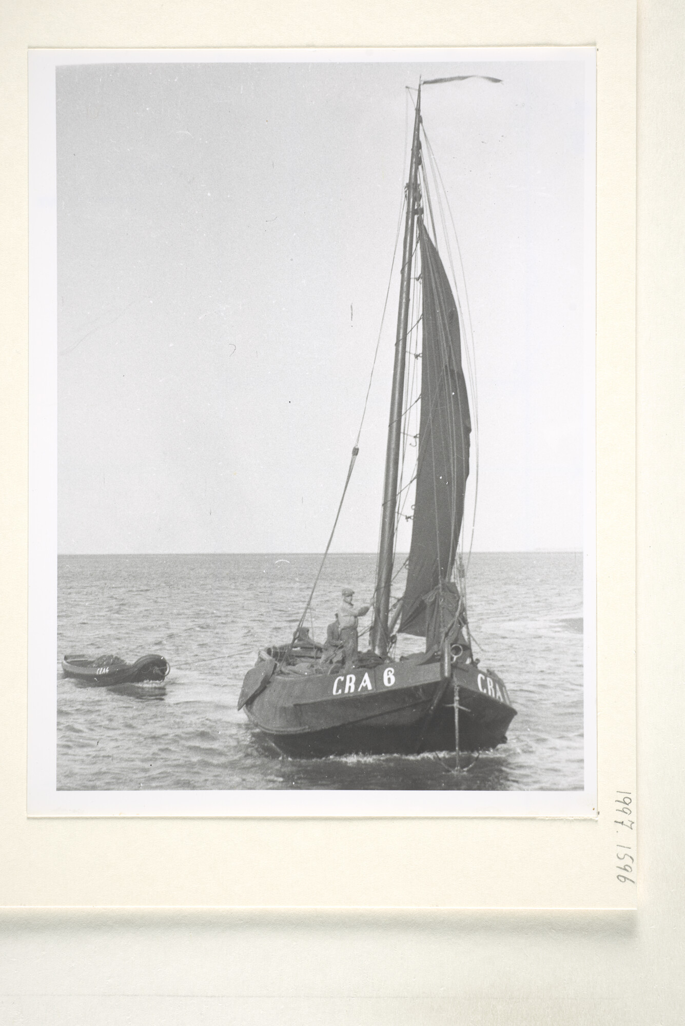 1997.1596; De hengst GRA 6 eigendom van Piet van Immerseel [...]; foto