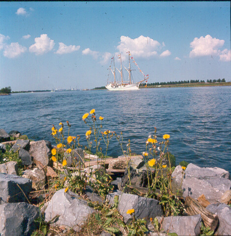 S.9100(7717); Sail Amsterdam 1975; diapositief