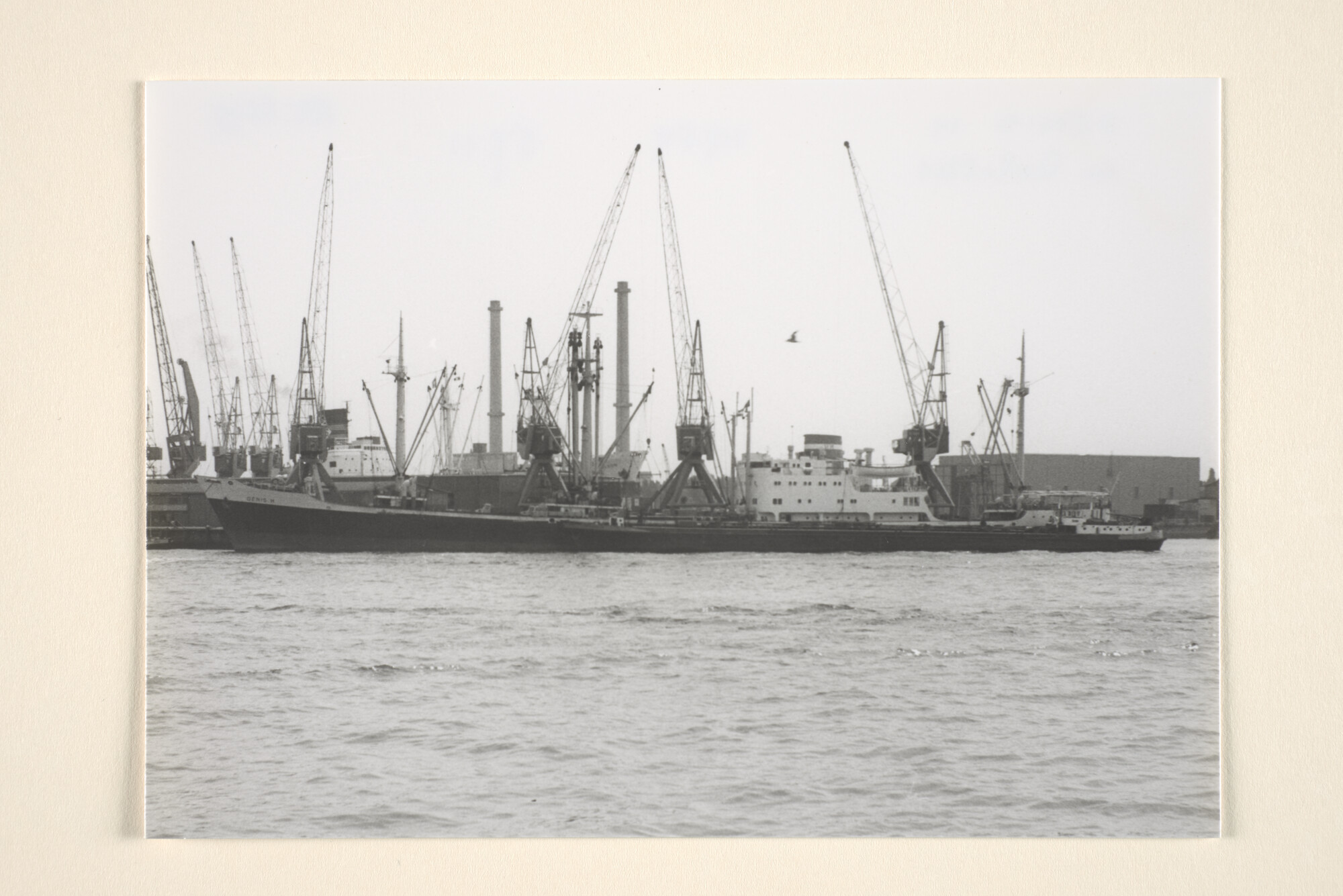 1995.6549; Het Griekse vrachtschip ms. Denis M (ex- Achilles van de KNSM) gezien in de haven van Amsterdam of Rotterdam; foto