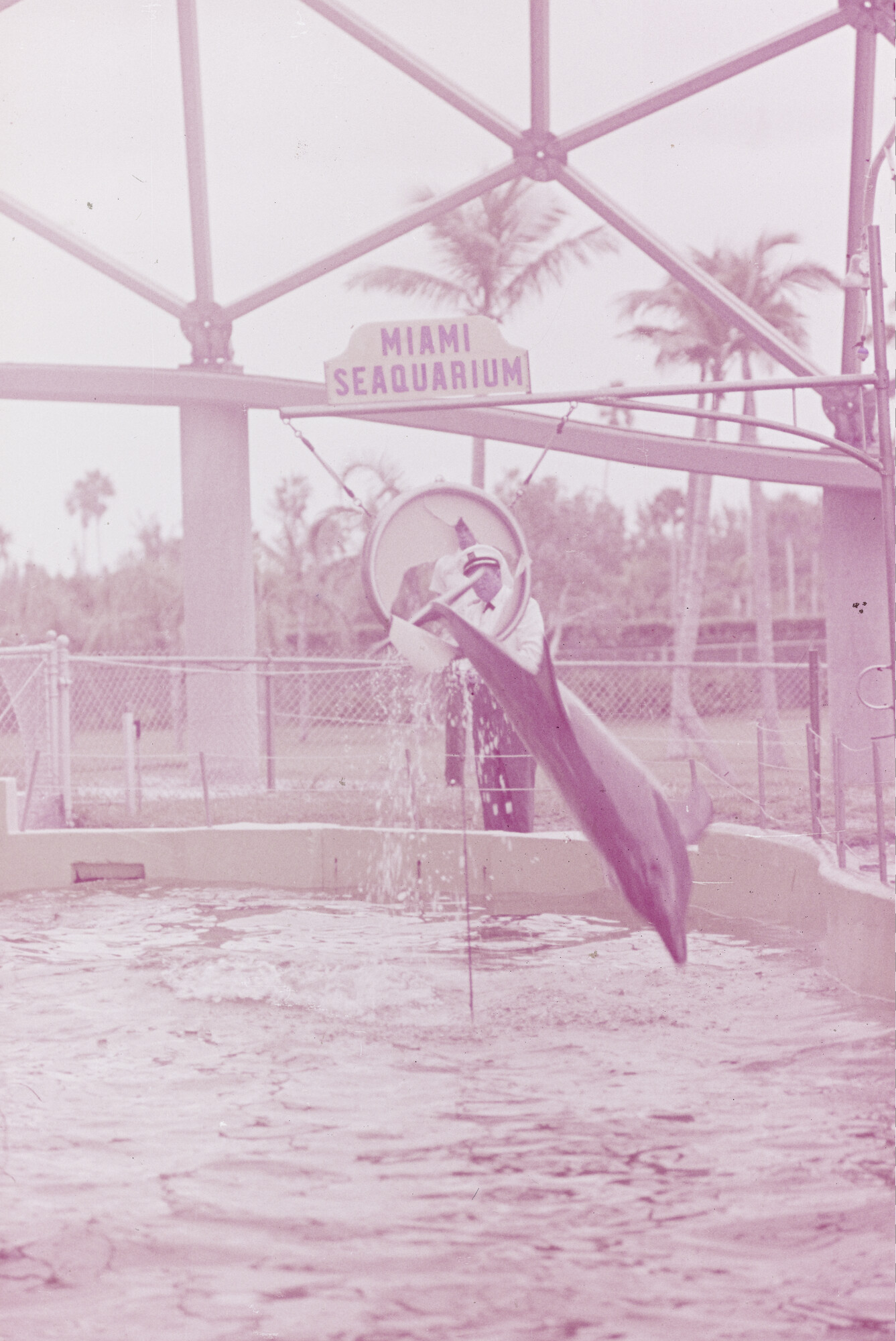2015.0768; Dia van het dolfinarium in Sydney; diapositief