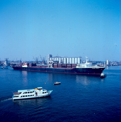 S.9100(4608); Dia van het Noorse LASH-schip ms. Arcadia Forest in de Vlothaven te [...]; diapositief