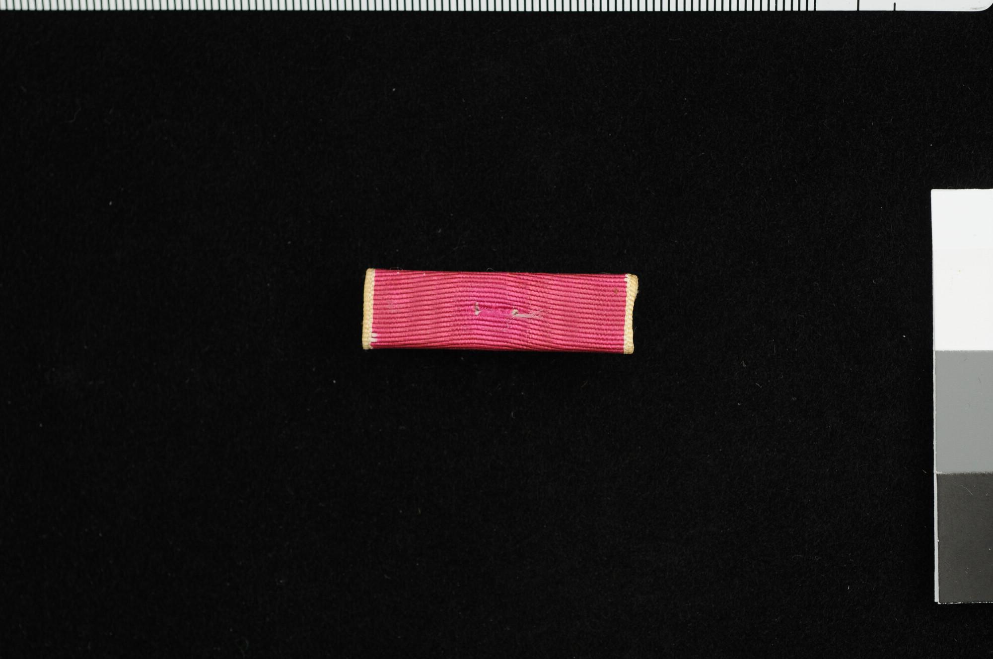 S.5866(03)3; Baton in de kleur wit/paars/wit; onderscheiding