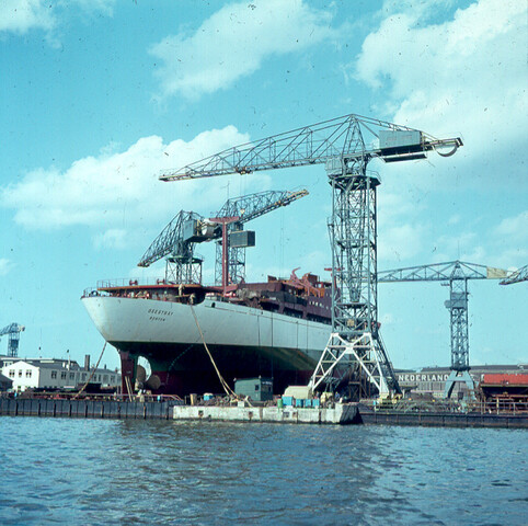 S.9100(1321); Dia van het koelvrachtschip ms. 'Geestbay'; diapositief