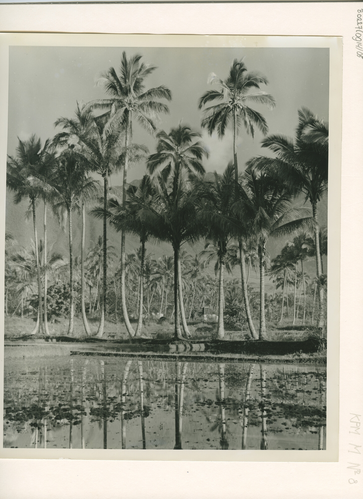 B.0227(0914)05; Landschapsfoto van het vulkanische landschap bij Garoet op West-Java; foto