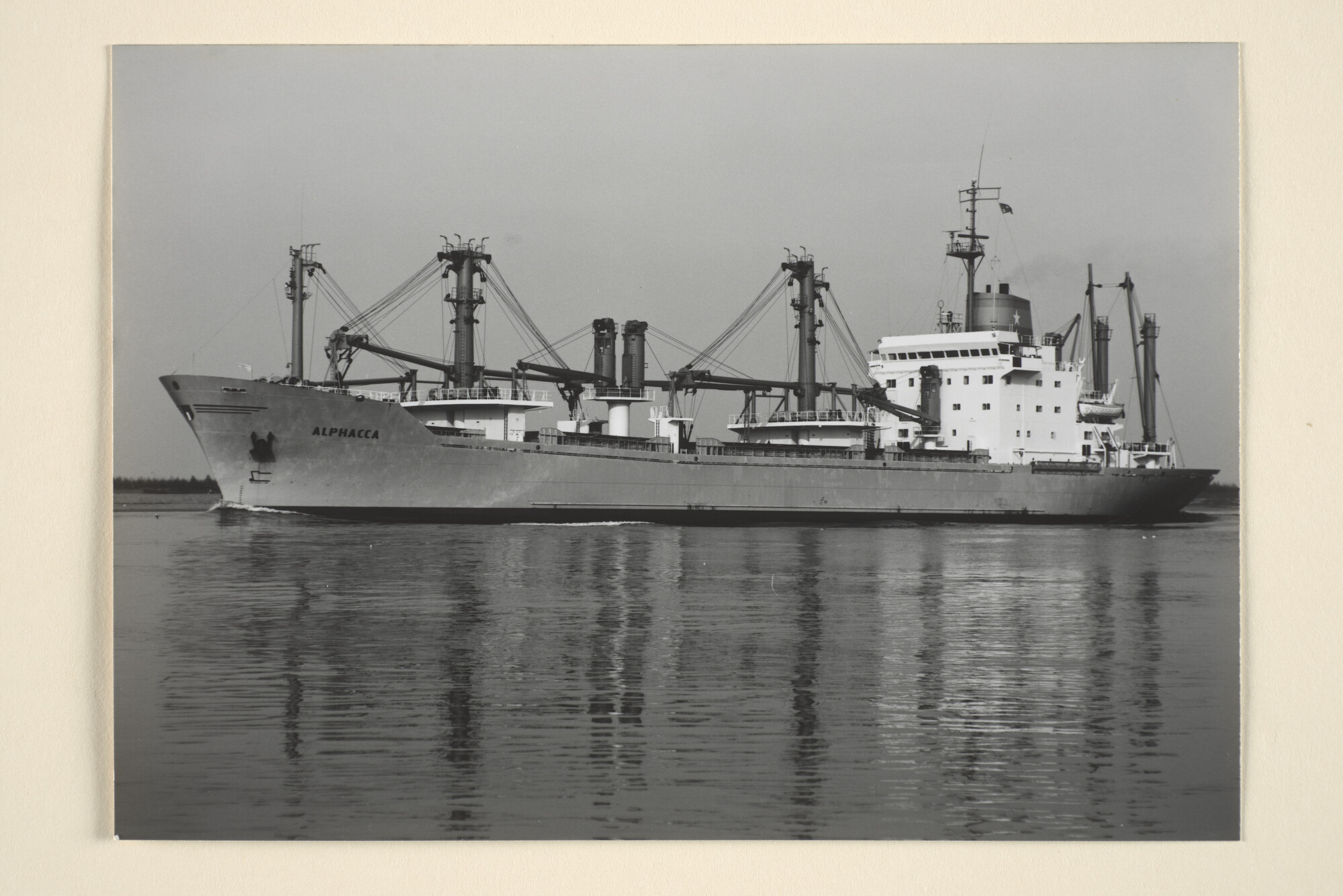 1996.0813; Het vrachtschip ms. 'Alphacca' van Van Nievelt Goudriaan & Co; foto