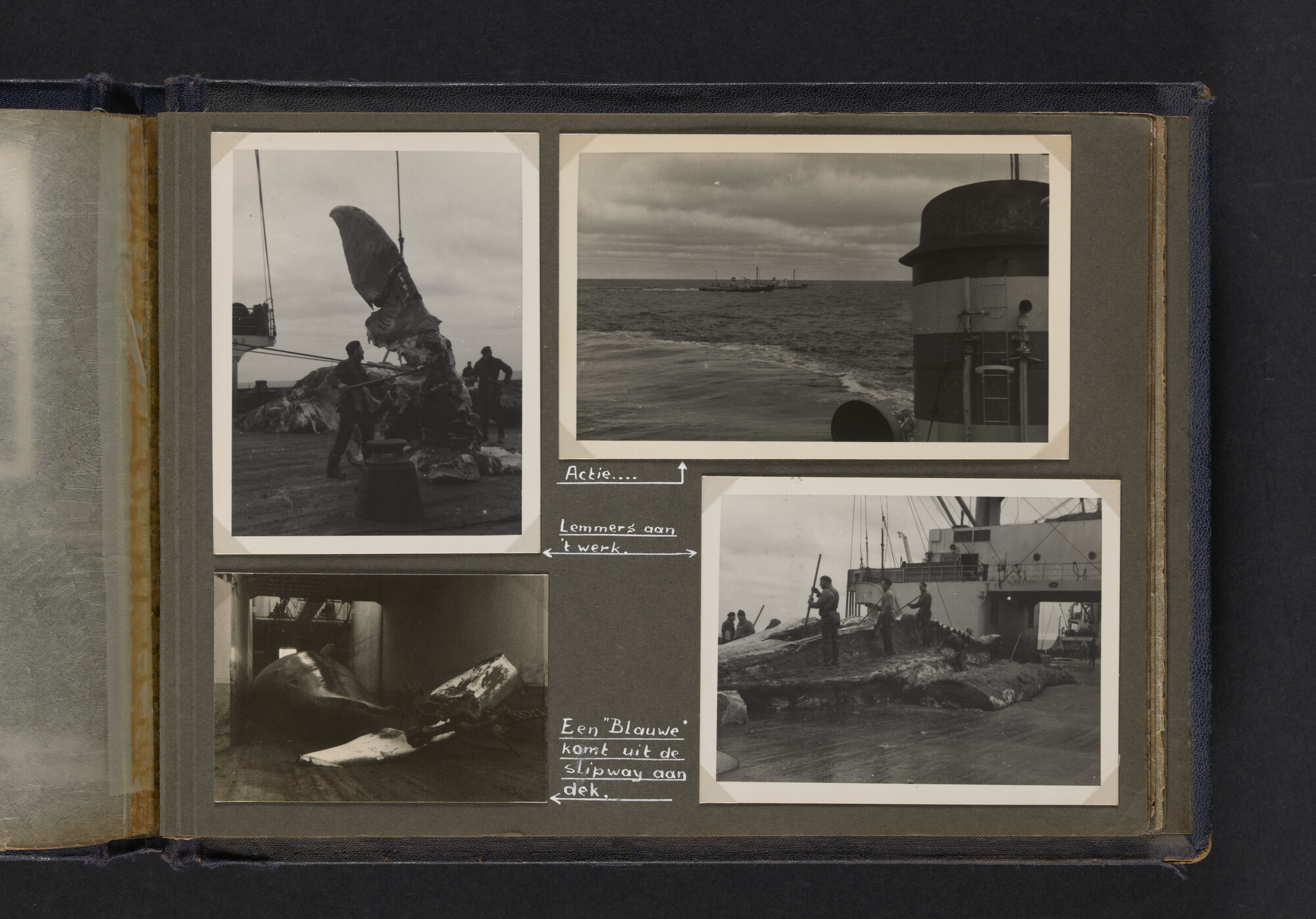 2021.0009; Fotoalbum van Joost Ossewaarde, 4e radiotelegrafist op walvismoederschip Willem Barendsz (II) en walvisjagers, met foto's van vangstseizoenen 1955-1956 en 1956-1957.; fotoalbum