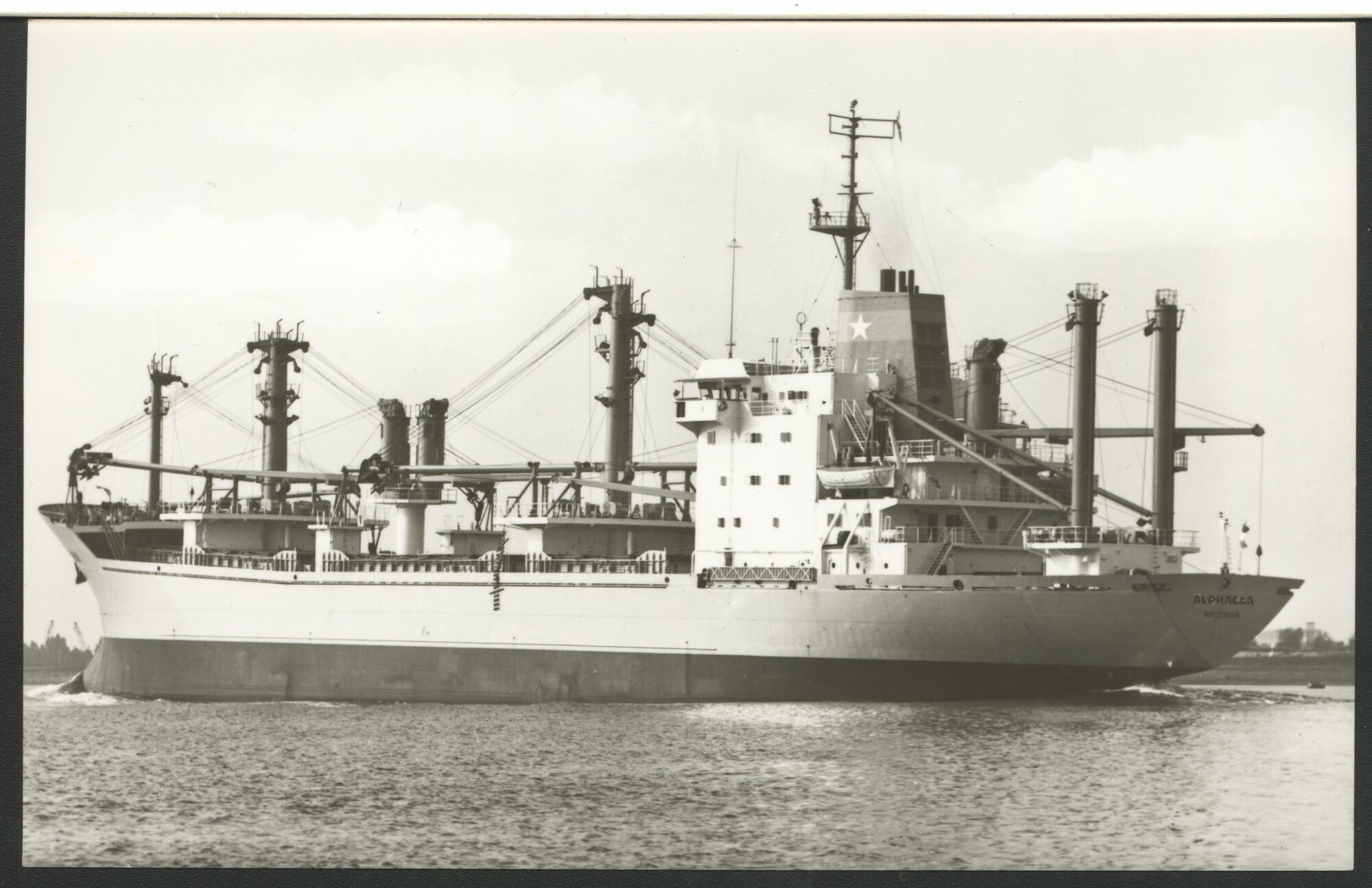 1993.6579; Het vrachtschip ms. 'Alphacca' van Van Nievelt Goudriaan & Co.; prentbriefkaart