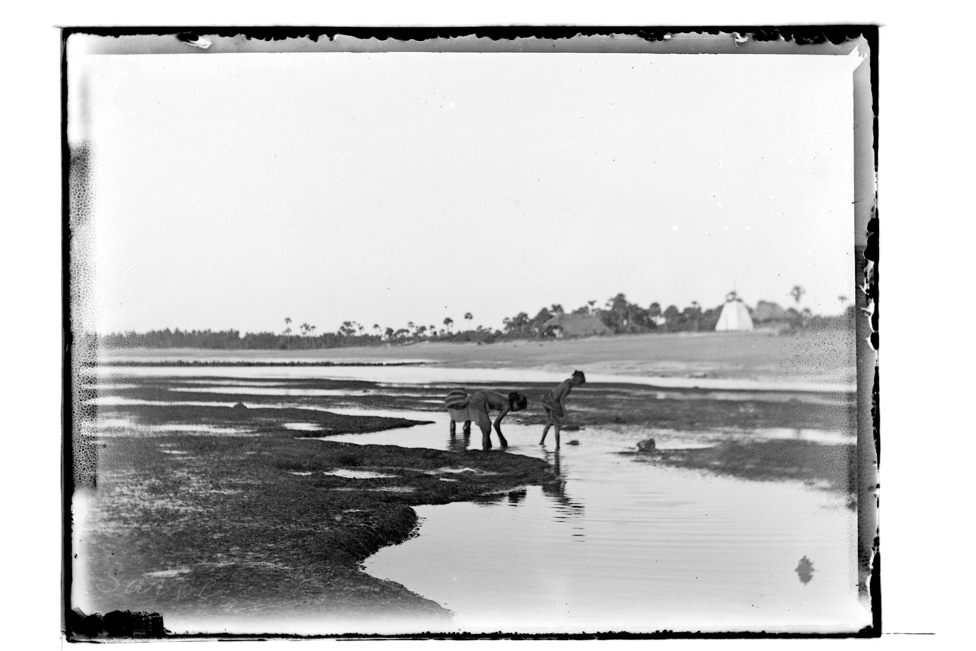 S.3319(117)a; Kinderen op zoek naar schelpdieren op het eiland Sawoe; negatief