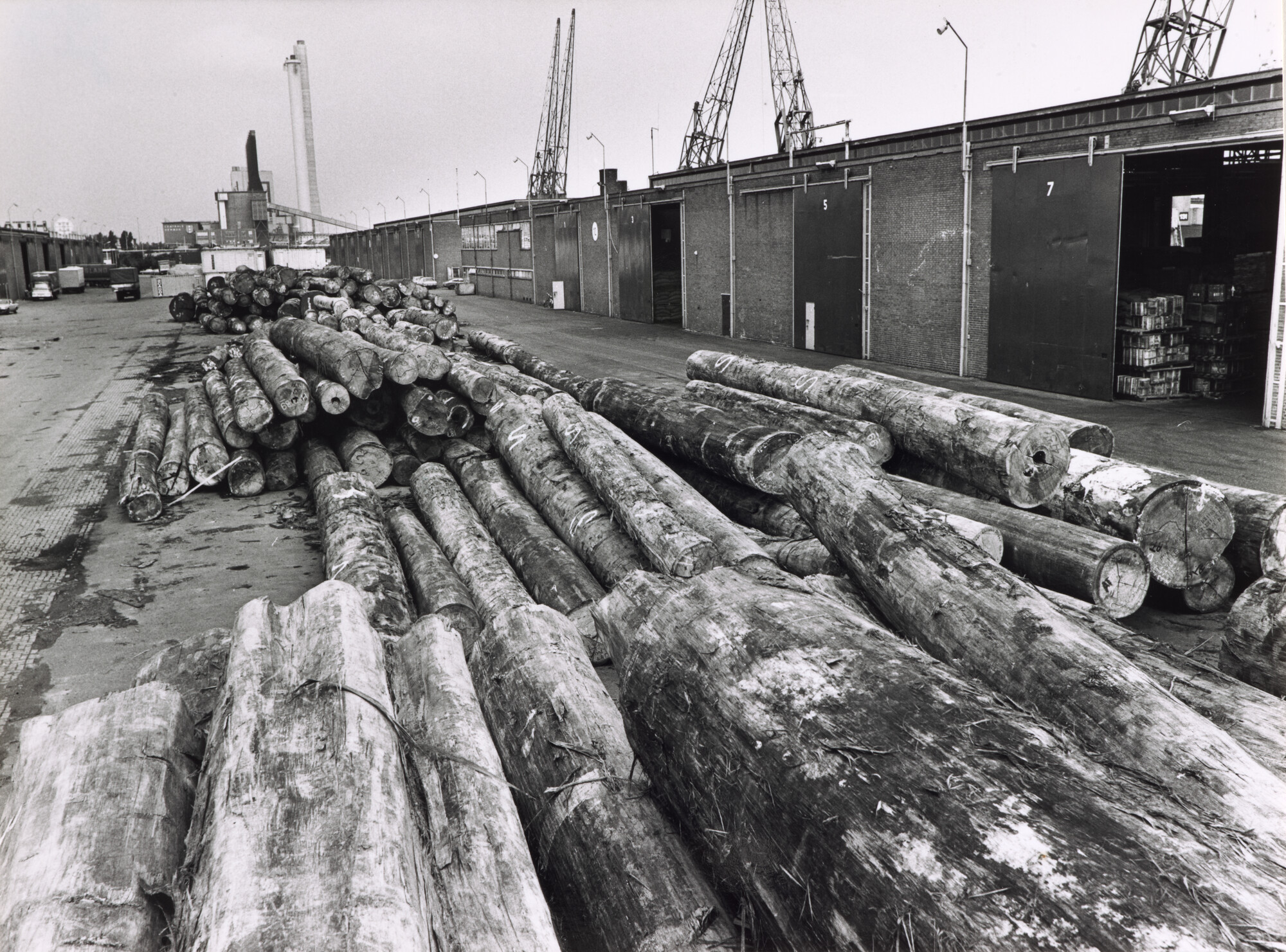 1998.1606; Foto's van de overslag van boomstammen bij de Neptunushaven te Amsterdam; fotoreportage