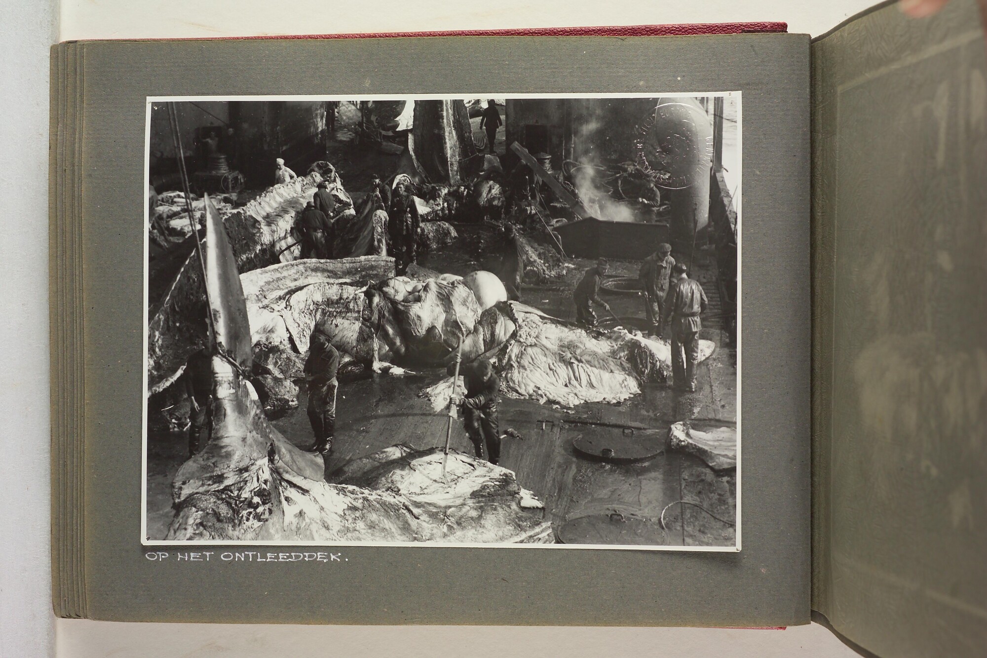 1996.1629; Foto's gemaakt aan boord van het walvismoederschip ms. Willem Barendsz (I); fotoalbum