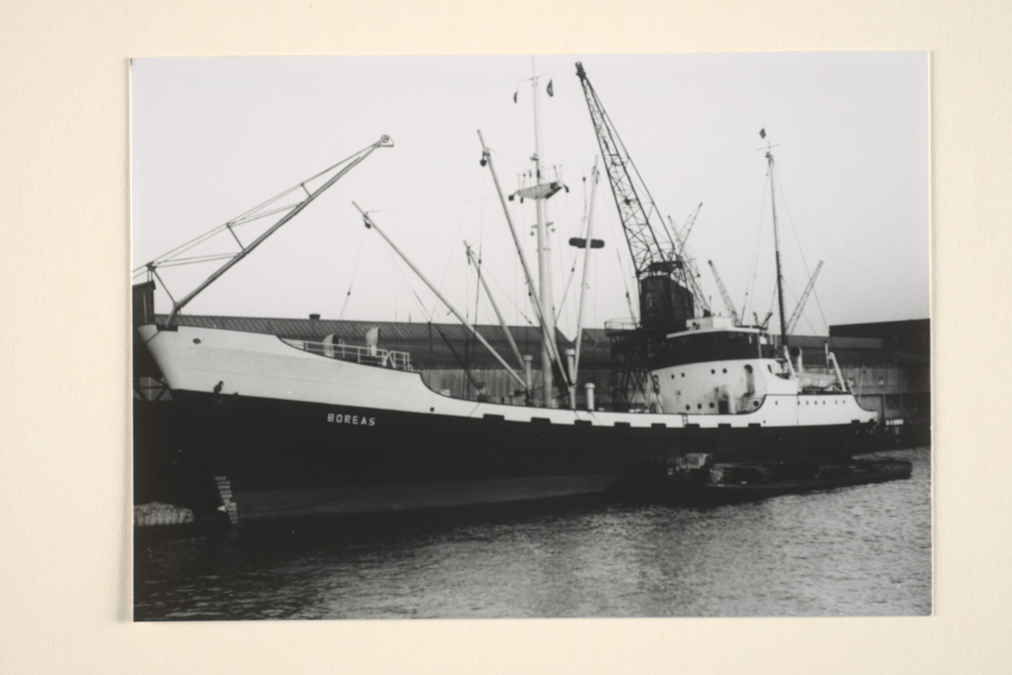 1995.6610; De coaster ms. 'Boreas' van de KNSM ligt afgemeerd aan de kade in Amsterdam; foto
