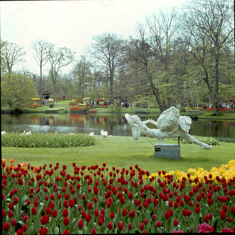 S.9100(0751); De 'Keukenhof' bij Lisse; diapositief