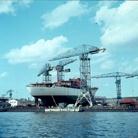 S.9100(1325); Dia van het koelvrachtschip ms. 'Geestbay' ; diapositief