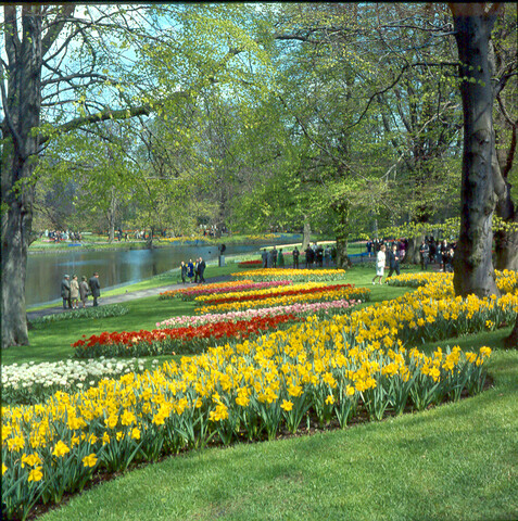 S.9100(0744); De 'Keukenhof' bij Lisse; diapositief