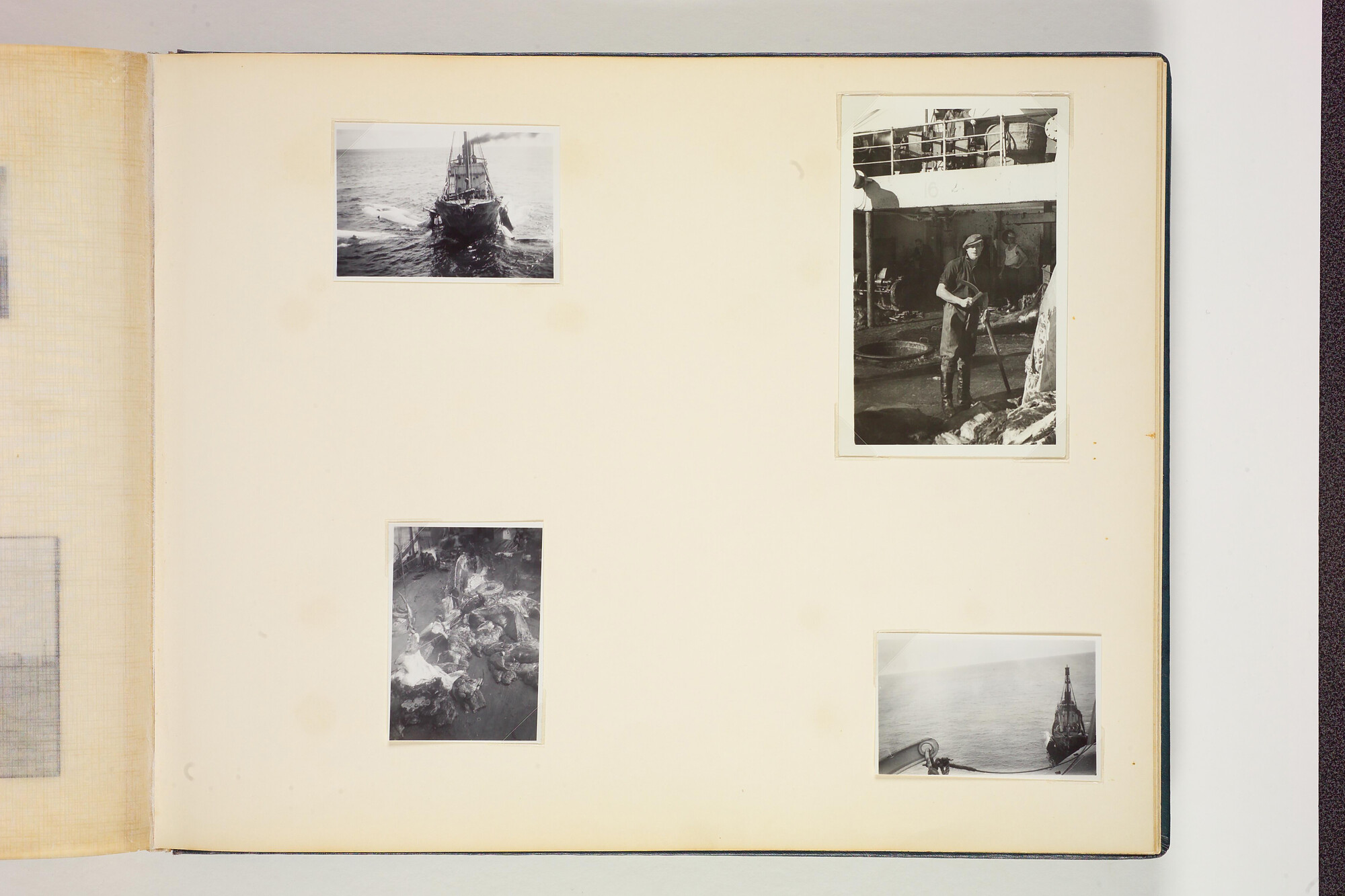 1990.0579; Tweede album met foto's van het walvismoederschip ms. Willem Barendsz (I); fotoalbum